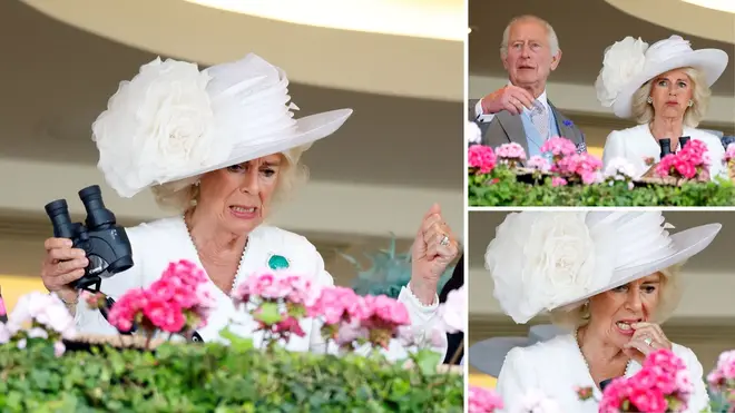 Frustrated Queen Camilla puts on animated display at Ascot as she watches races with King Charles