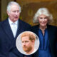 Queen Camilla Is the Real Reason King Charles Won’t See Harry, Friend Says