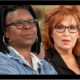 Breaking : Finally, ABC issued an official statement confirming that Joy Behar and Whoopi Goldberg’s contracts will not be renewed because they are too toxic. Was it a wise choice…