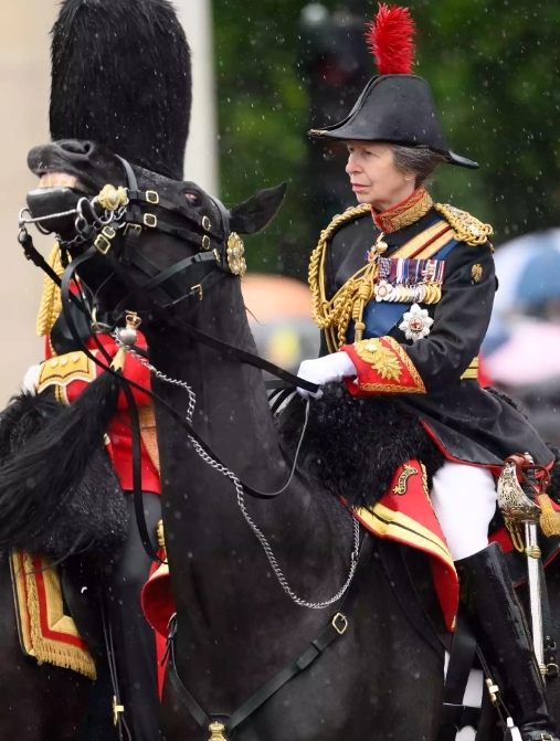 Royal Family Removes Princess Anne’s Next Engagement Following Hospitalization for Horse ‘Incident’