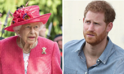 Breaking News: Prince Harry Reveal Reason WHY he cant Forgive Queen Elizabeth.amid His Legal Battle.